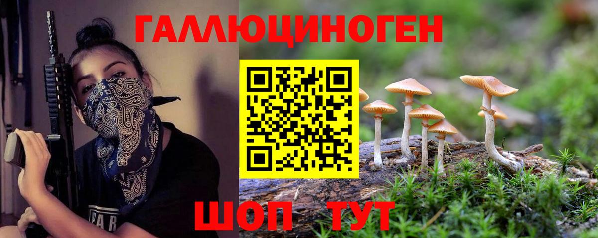 Галлюциногенные грибы мицелий Курганинск