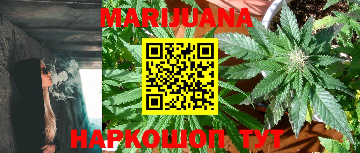 Каннабис план Курганинск